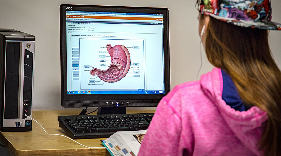 Student studying for biology course on desktop computer