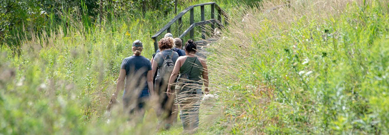 A group of environmental science students walk on a nature trail.